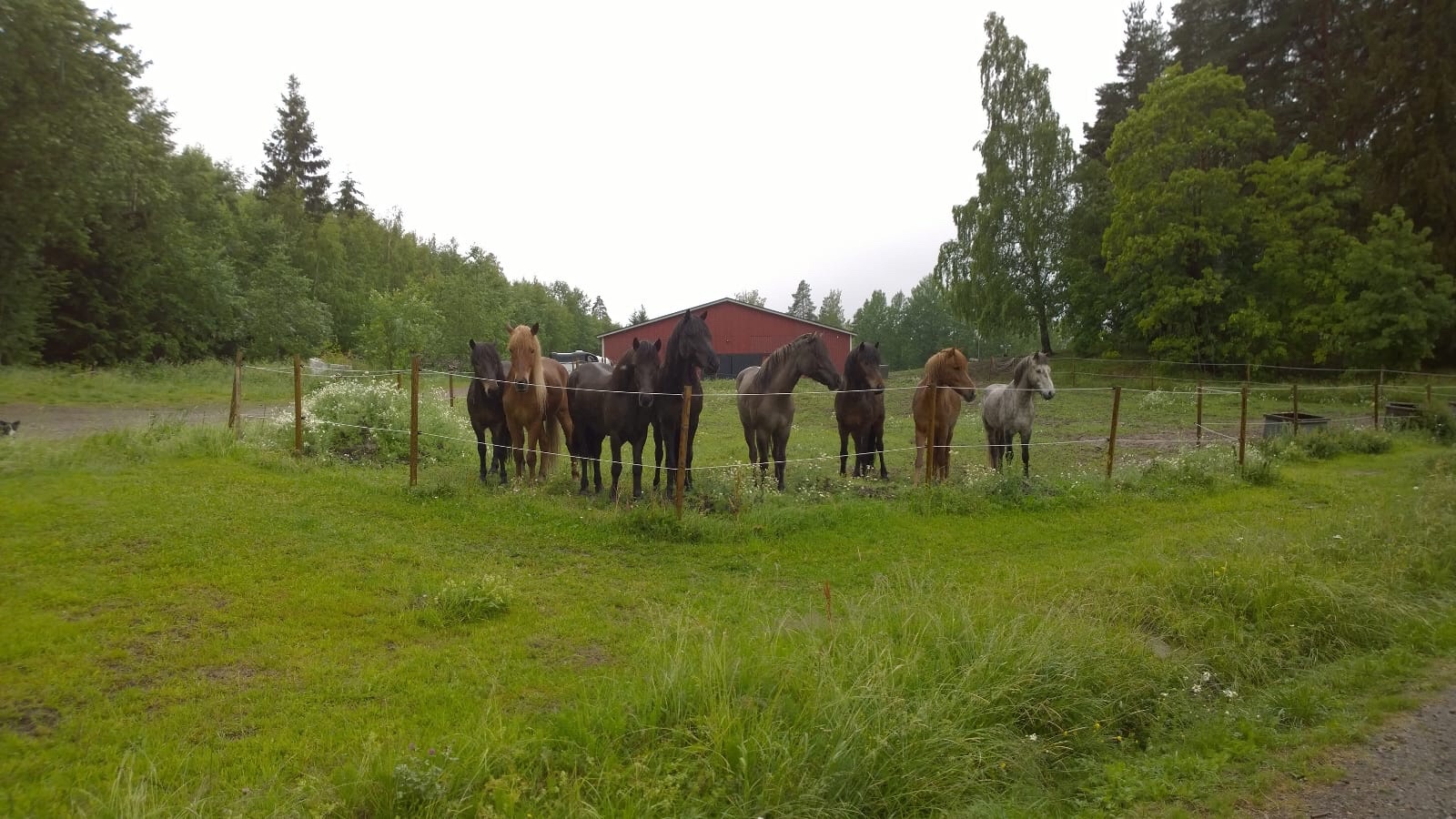 eebb3219-8784-4971-ac16-c5fa98d9df8c