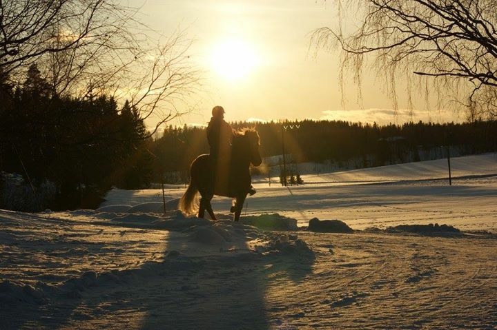 Tölttikurssi la 29.2.2020
